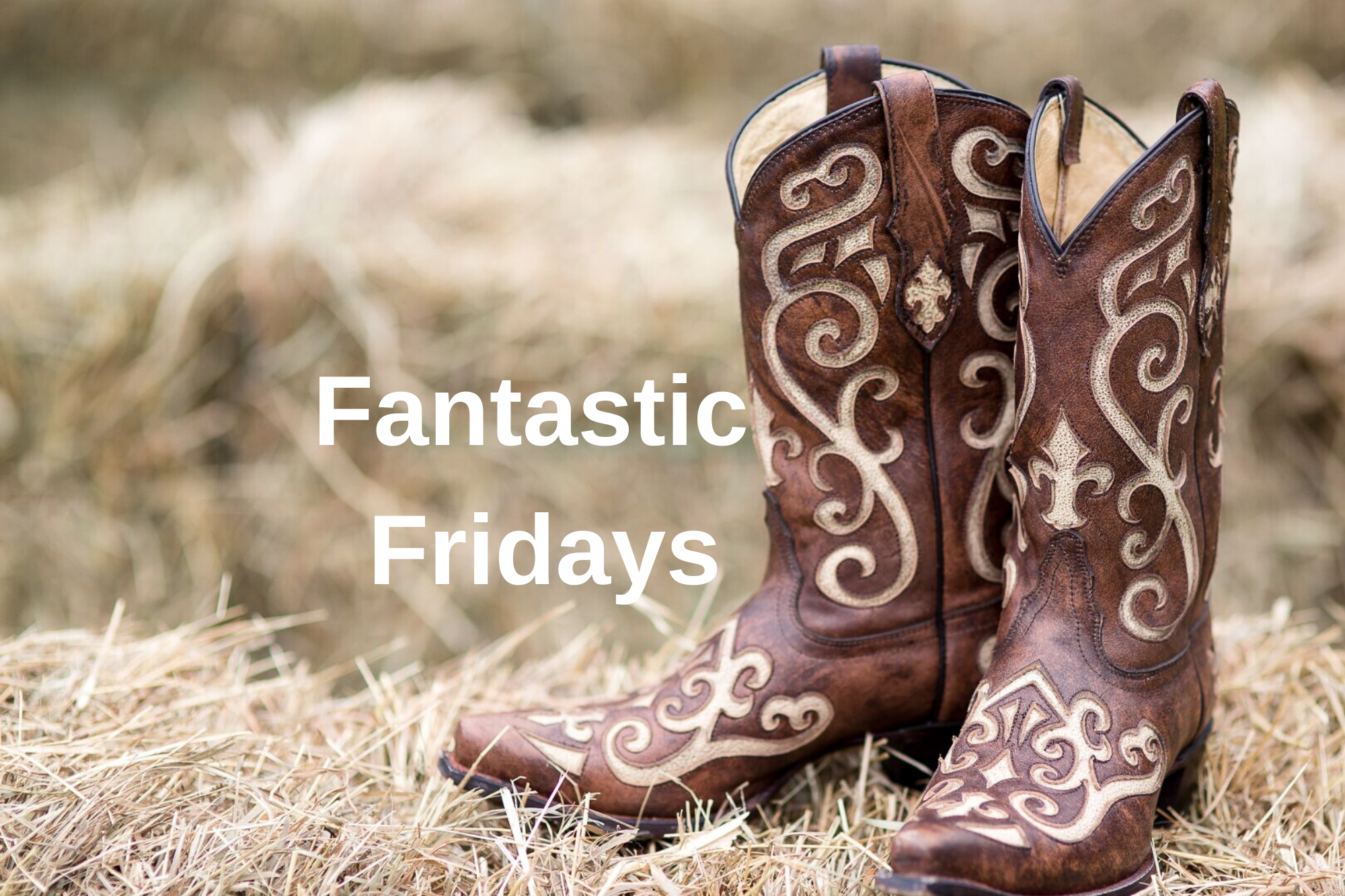 Fantastic Fridays