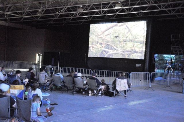 jungle book september 2015 web